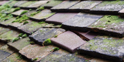 Barnwood roof repair costs